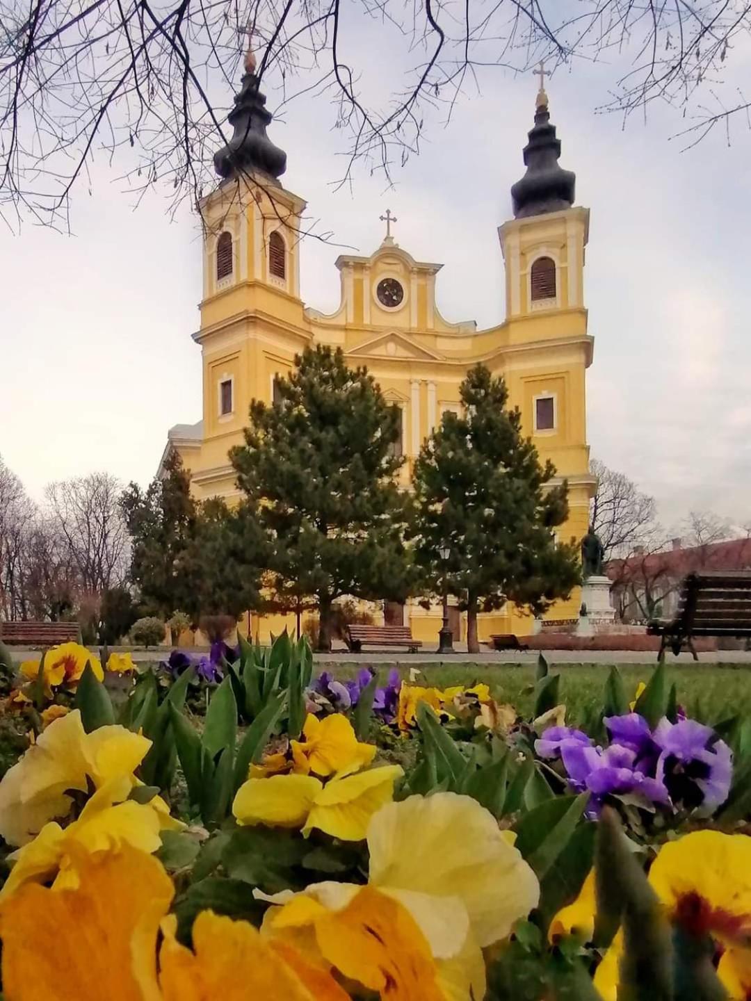 Alia Apartment Oradea Bagian luar foto